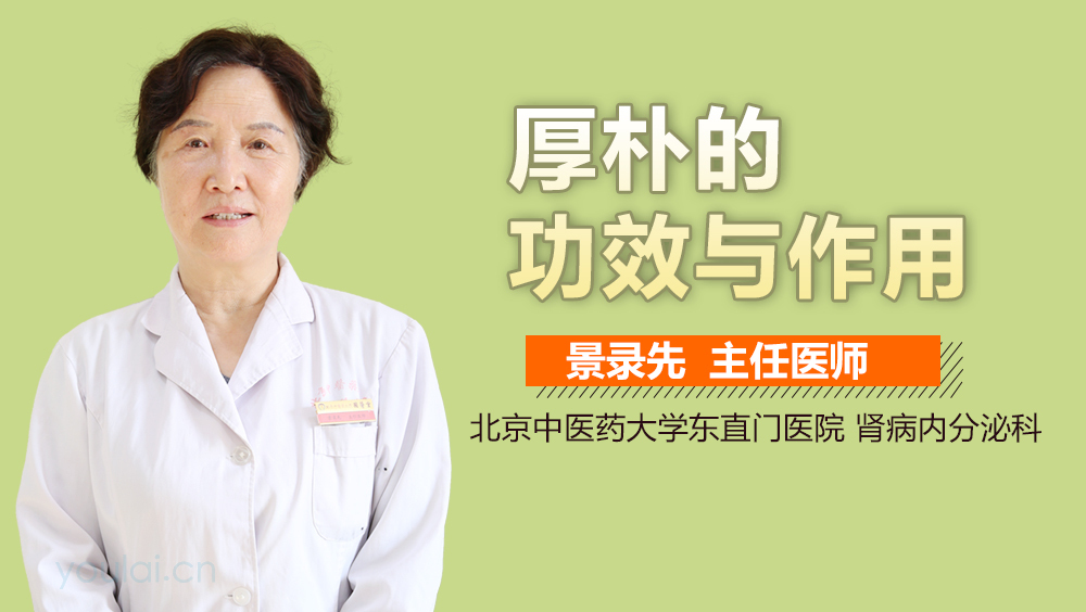 揭秘制厚朴的功效与作用，对身体原来有这些帮助。