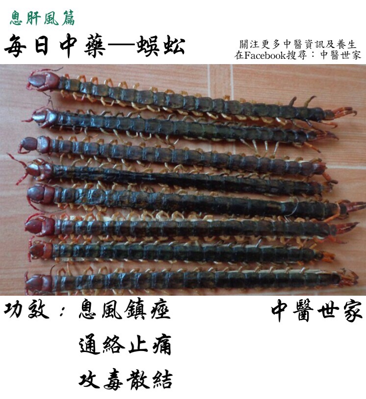 蜈蚣的药用价值有哪些?这几种功效你肯定想不到!