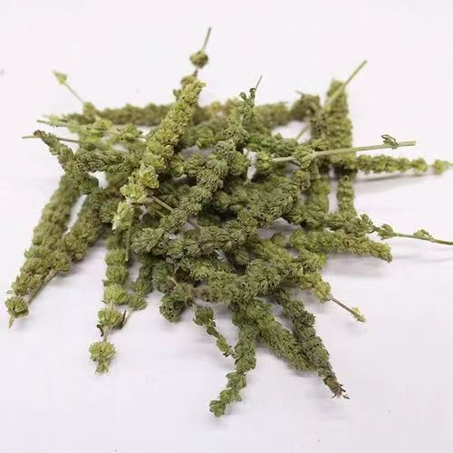 荆芥穗的功效都有啥?原来它对身体有这些帮助!