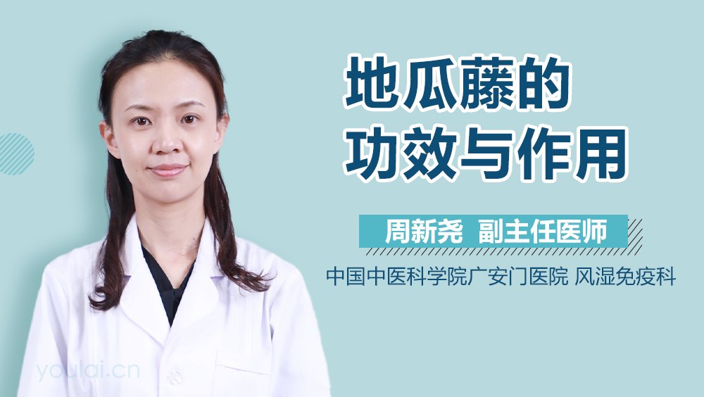 地瓜藤的功效与作用
