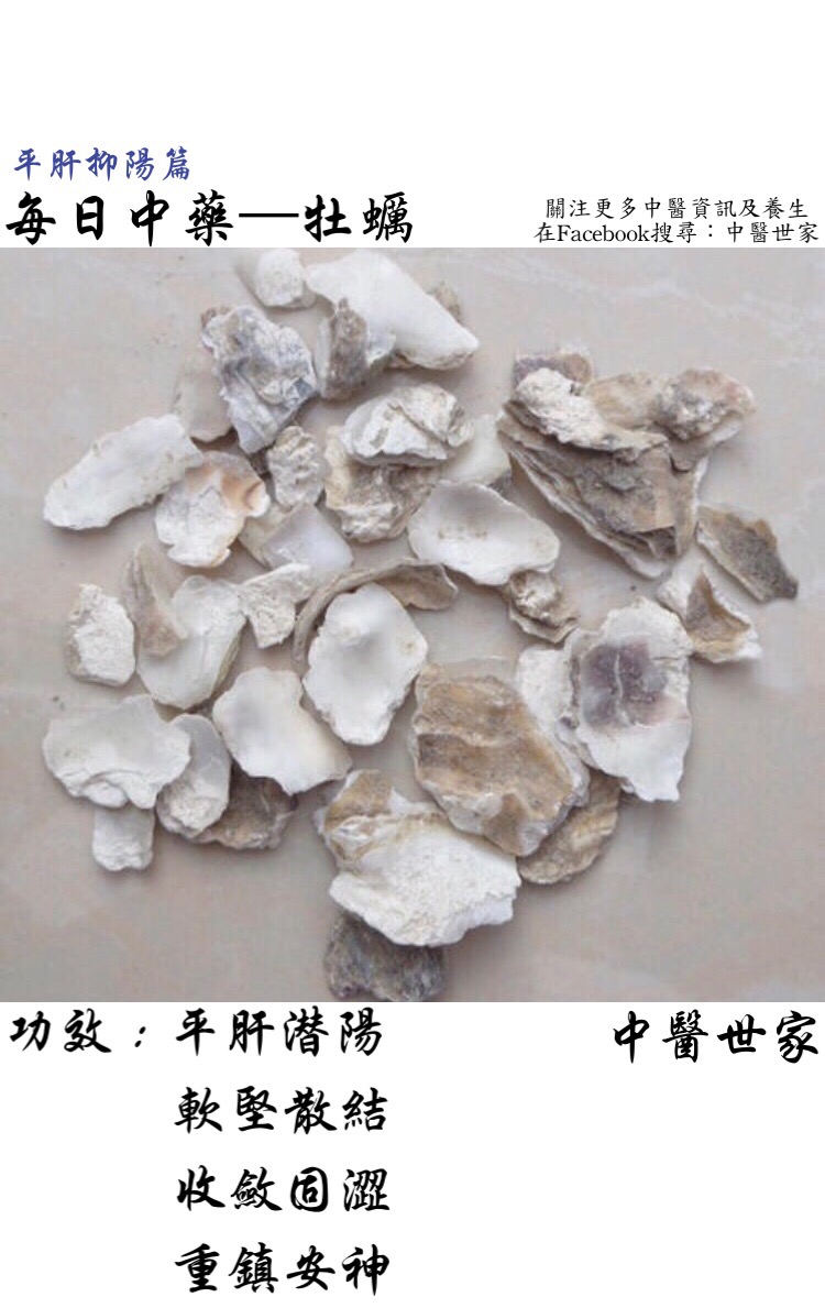 牡蛎功效和作用