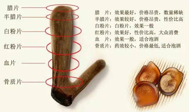 想知道鹿茸片的功效?这样吃才能发挥它的最大价值。