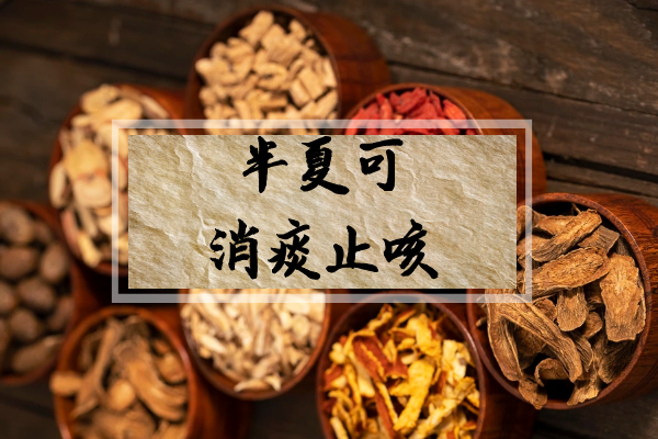 了解半夏的功效与禁忌,正确使用才能发挥大作用!