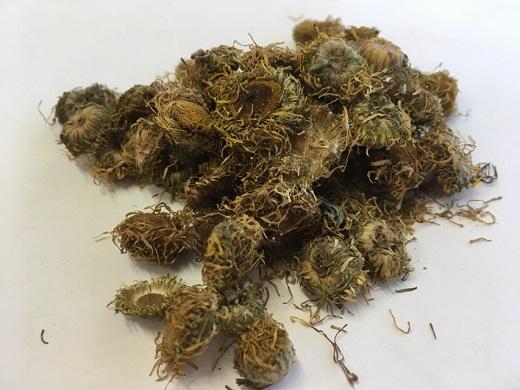 旋覆花的功效与作用有哪些?日常保健这么用效果好!