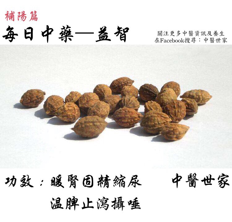 益智仁功效与作用