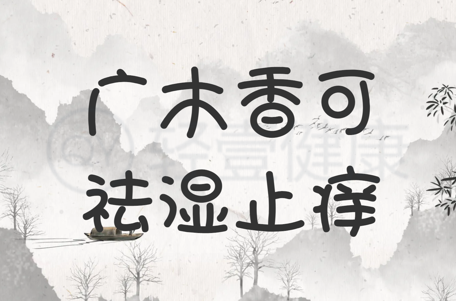 想了解木香的功效和作用?这篇文章告诉你怎么选!