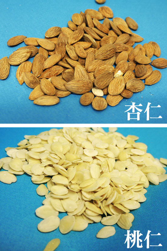 桃仁的功效与作用禁忌