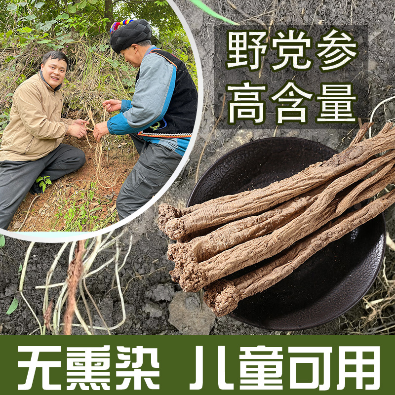 野党参的功效与作用