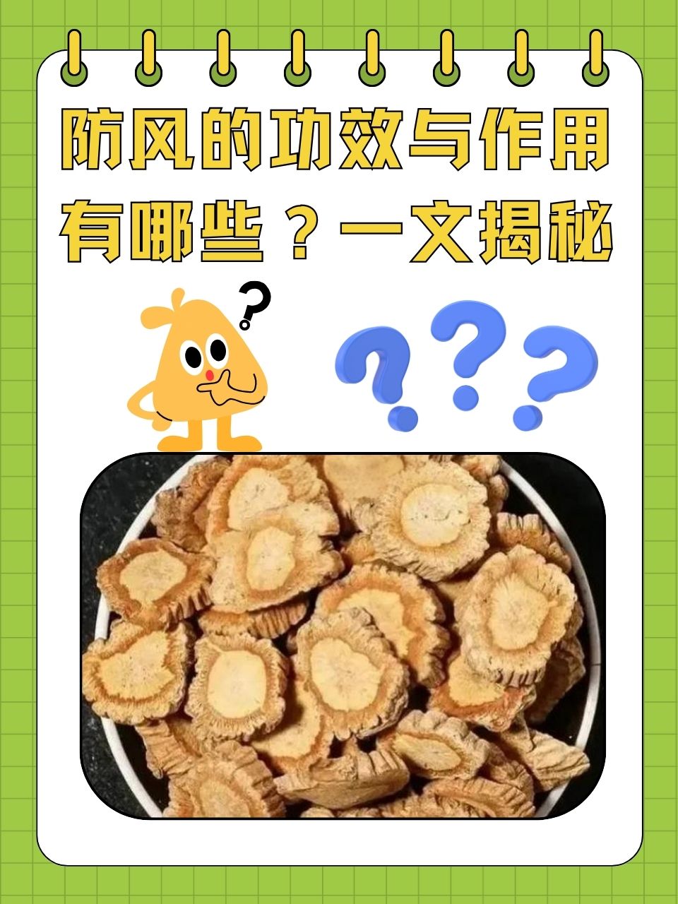 探秘中药防风的功效与作用，这些妙用你可能还不知道！