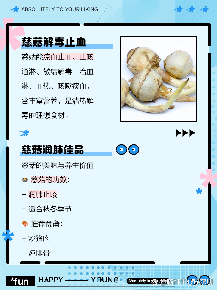 吃慈菇有什么好处？全面了解慈菇的功效与作用！