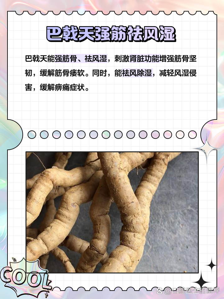 详解制巴戟天的功效与作用,哪些人吃了对身体特别好。