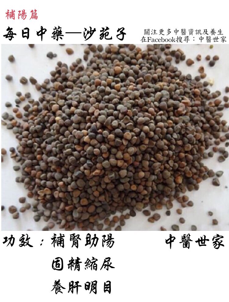 沙苑子功效