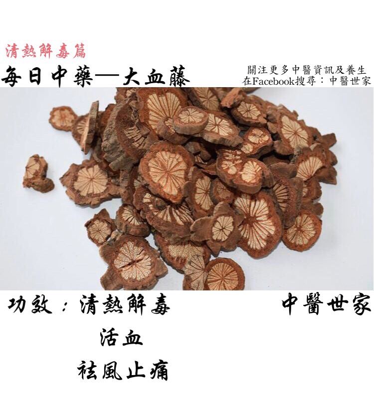 想知道大血藤的功效怎么用?老中医分享经验给你听!
