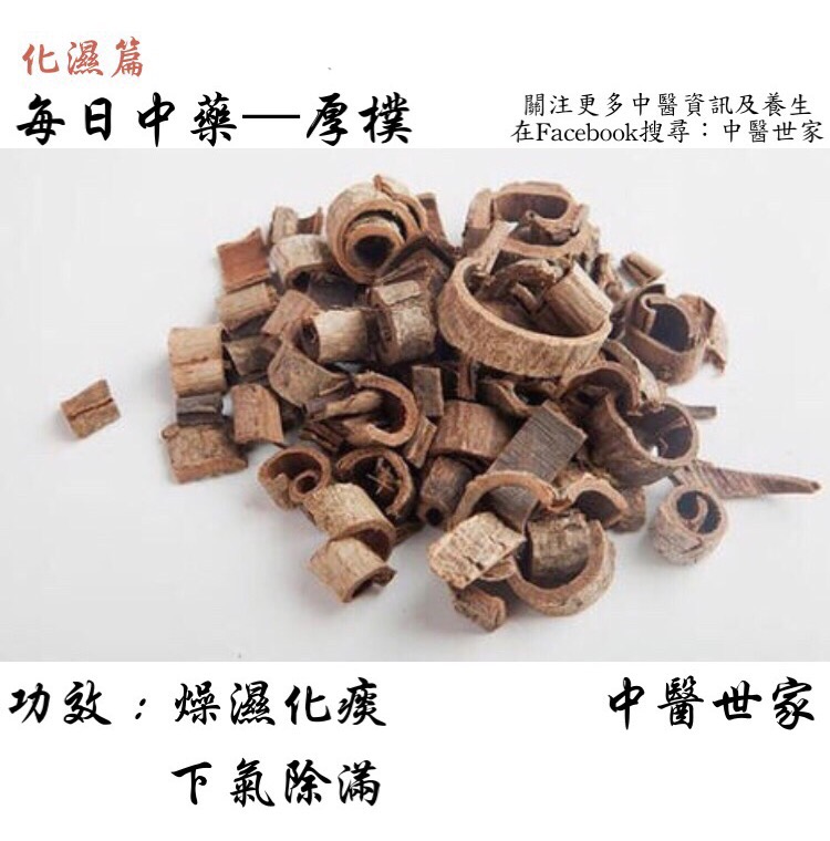 探秘厚朴功效与作用,日常保健用它好处多多!