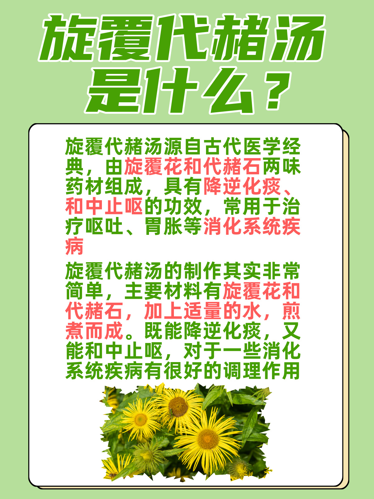 旋覆花的功效与作用有哪些?日常保健这么用效果好!