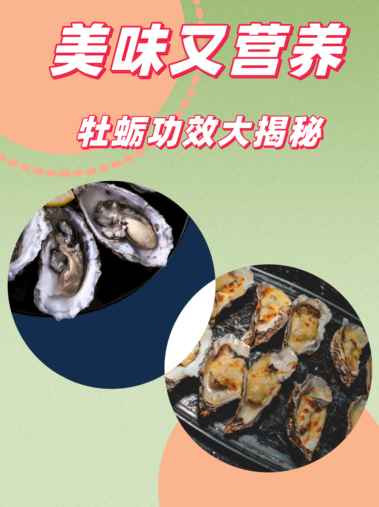 牡蛎功效和作用