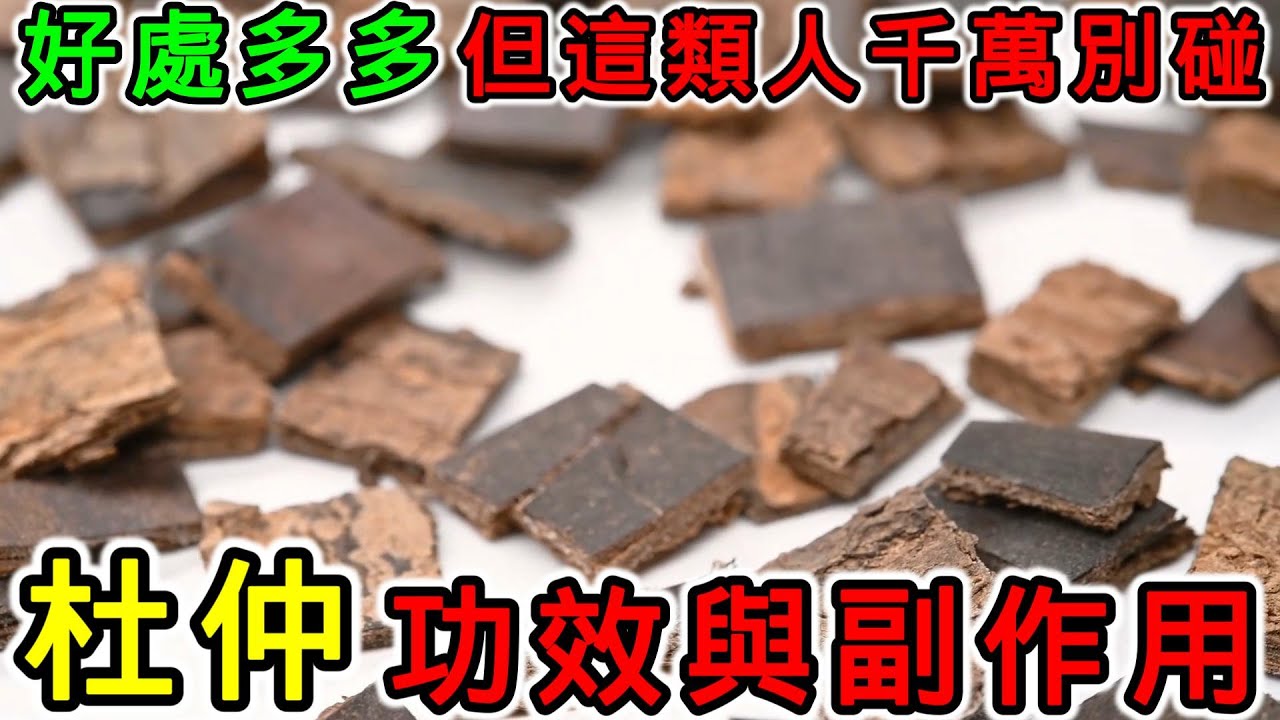 杜仲的作用与功效有哪些?简单了解这几点好处多多!