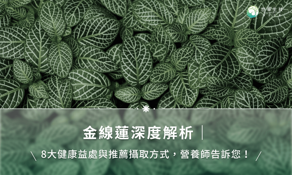 金线莲功效与作用大揭秘，原来对身体有这些帮助！