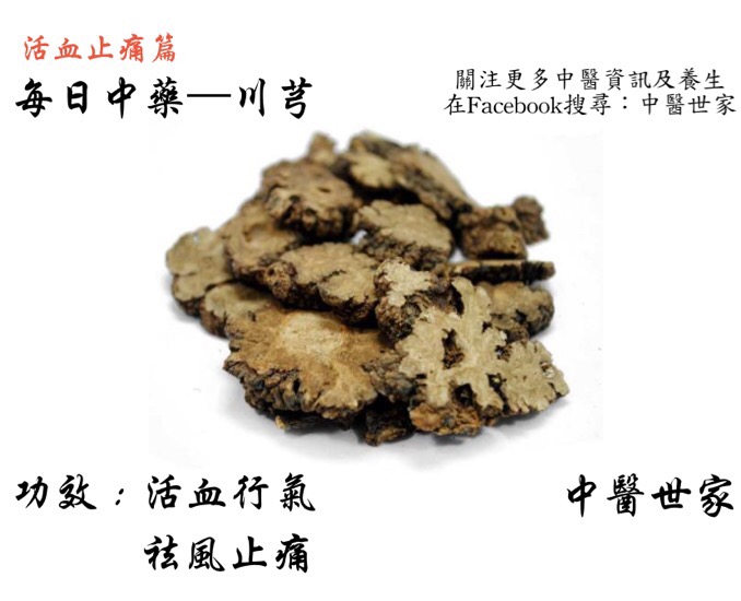 川芎有什么功效与作用?行气止痛妇科也常用!