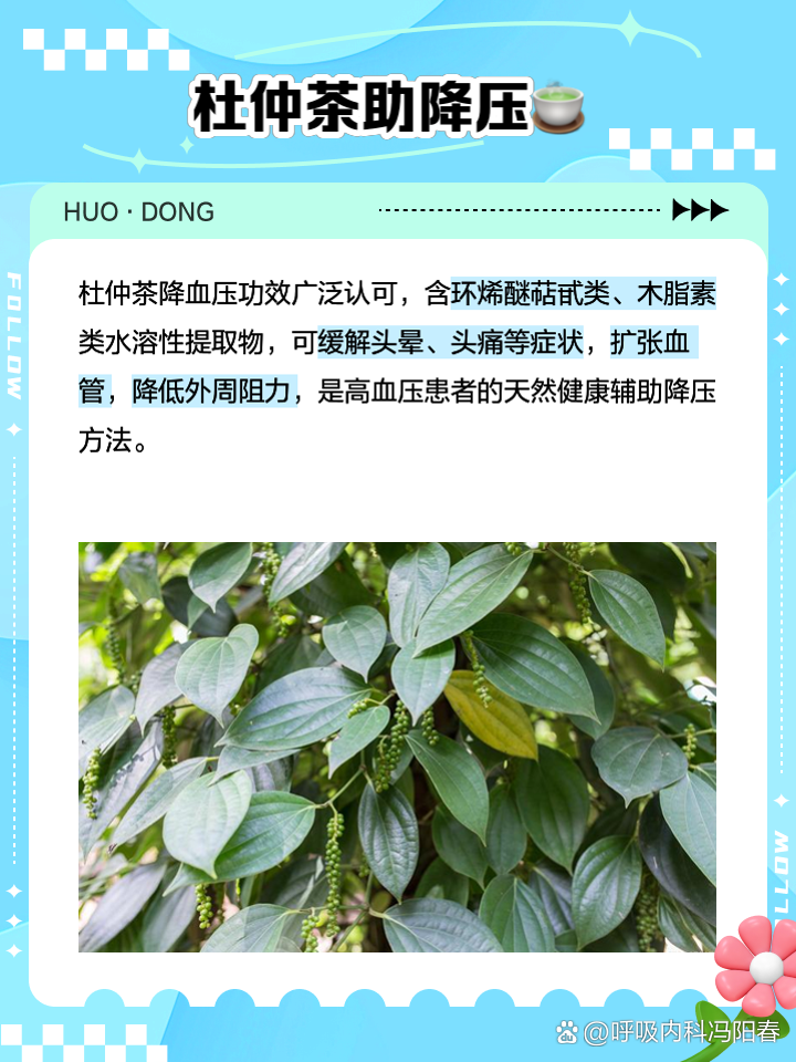 想了解杜仲叶的功效与作用?日常泡水喝好处真不少!