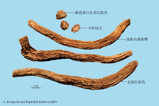 百部的功效