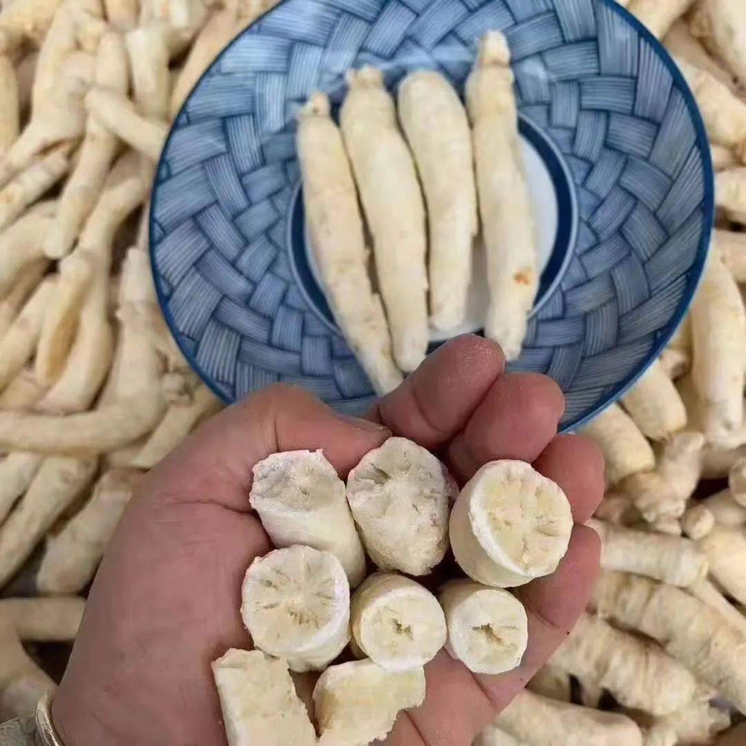 白糖参的功效与作用