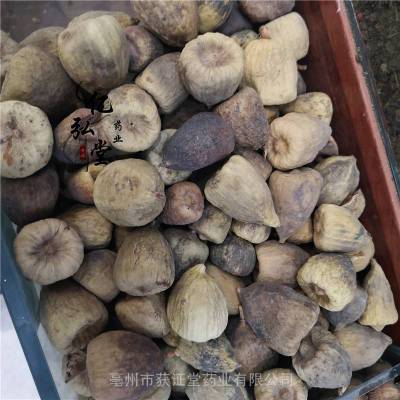 木馒头的功效与作用