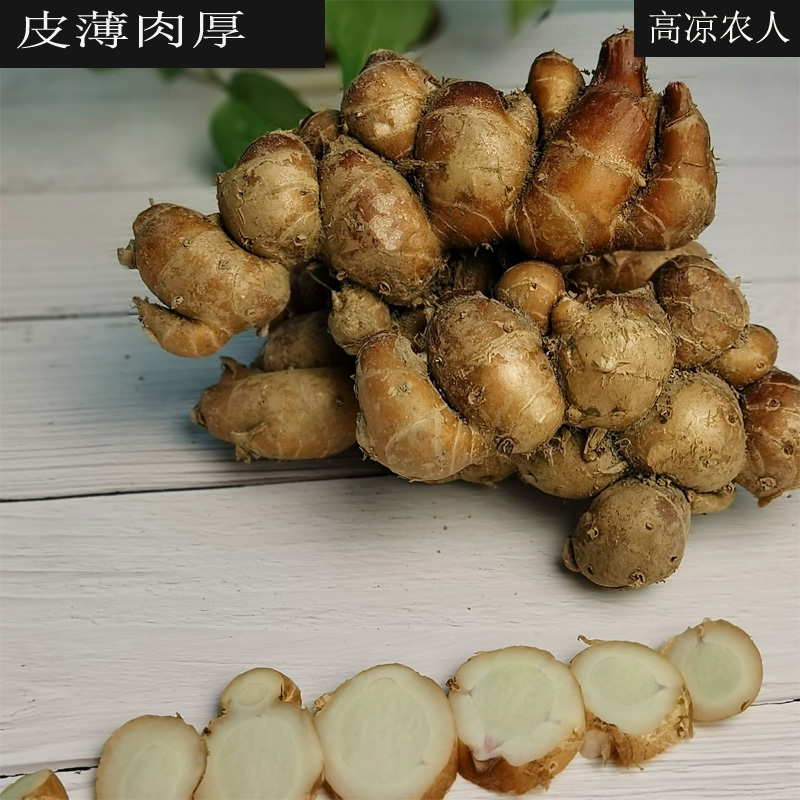 想知道山奈的功效与作用吗？看完这篇你就全懂了！