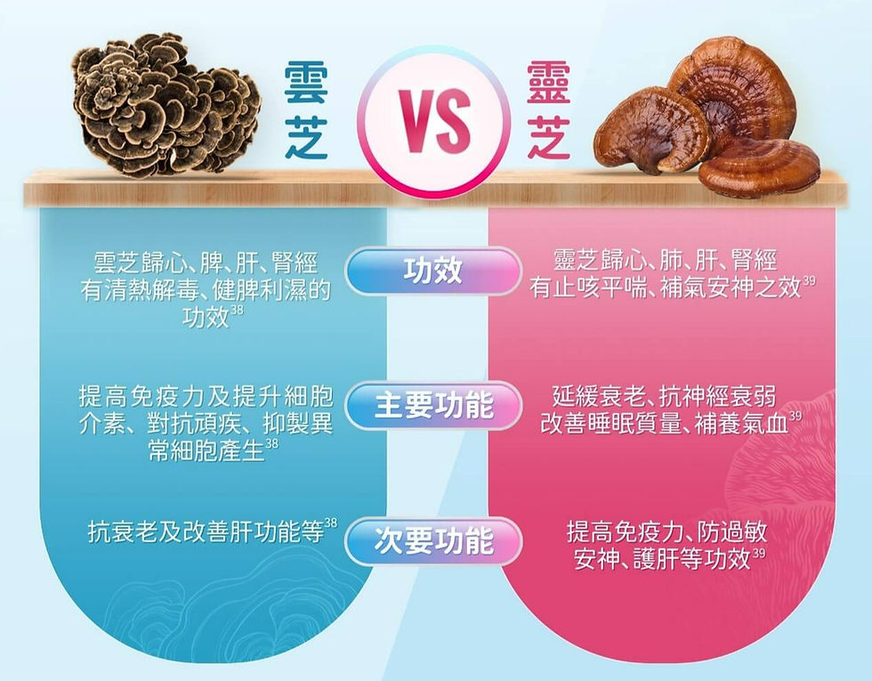 云芝的功效与作用
