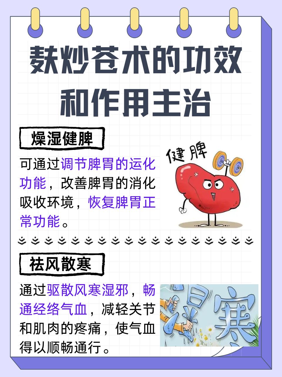 炒苍术的功效与作用是什么?能祛湿健脾效果好!