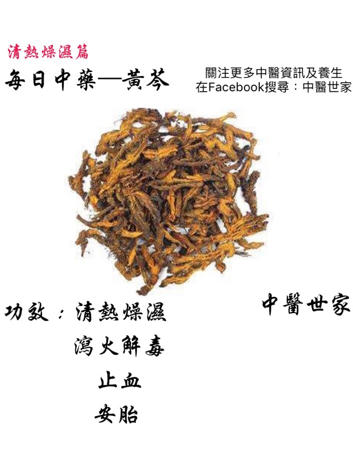 黄岑的功效与作用