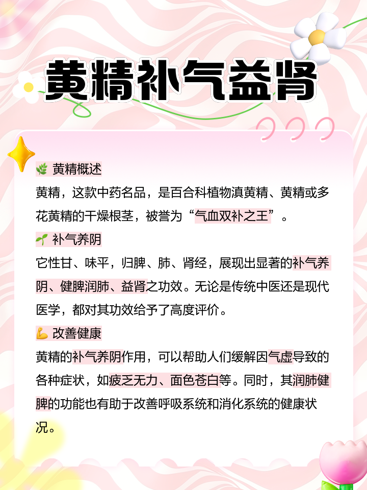 黄精的作用与功效是什么?简单说说让你一听就明白!