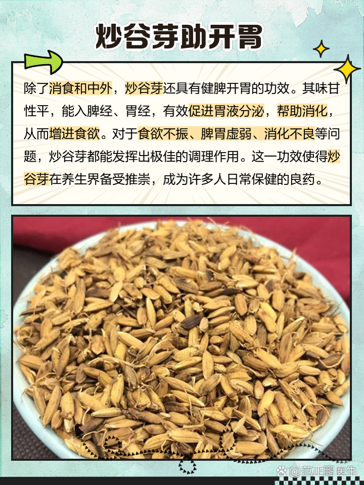 稻芽的功效与作用能健脾开胃吗？老中医告诉你它的妙用！