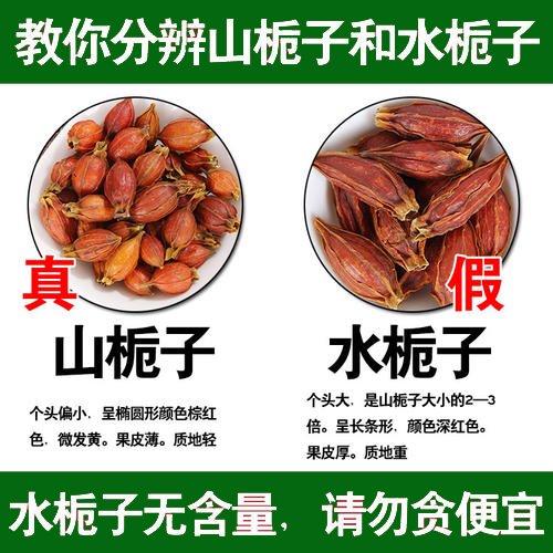 栀子功效