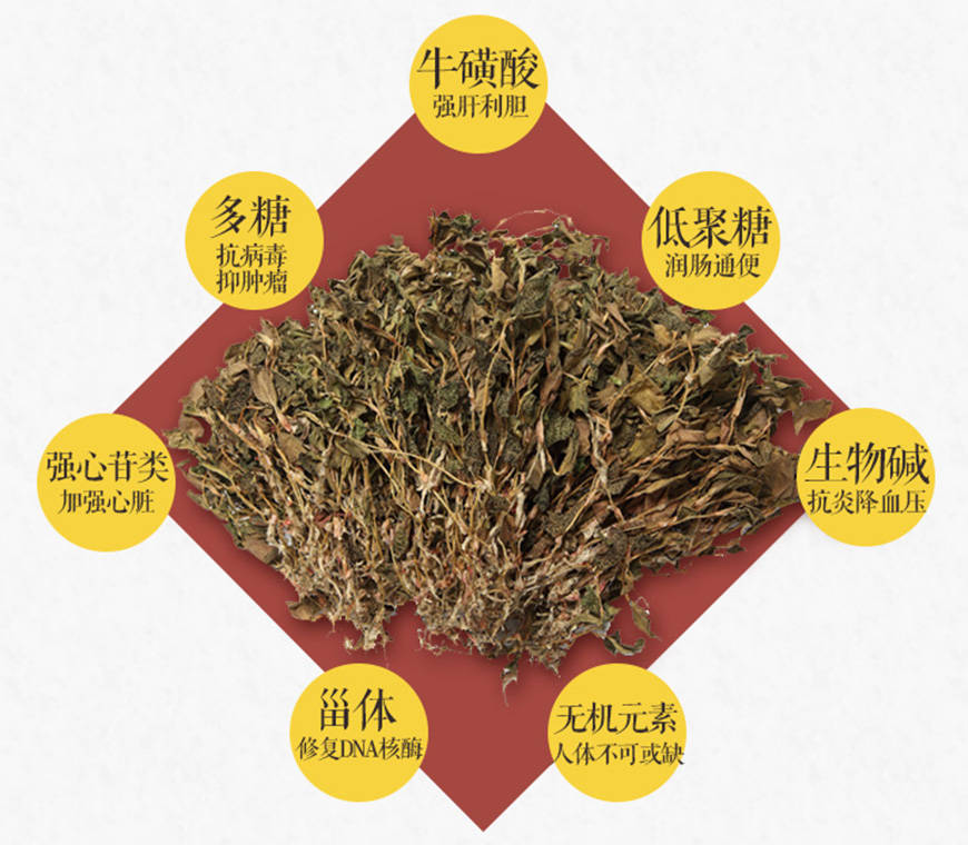 金线莲的功效与作用及食用方法全攻略,(新手也能轻松掌握)