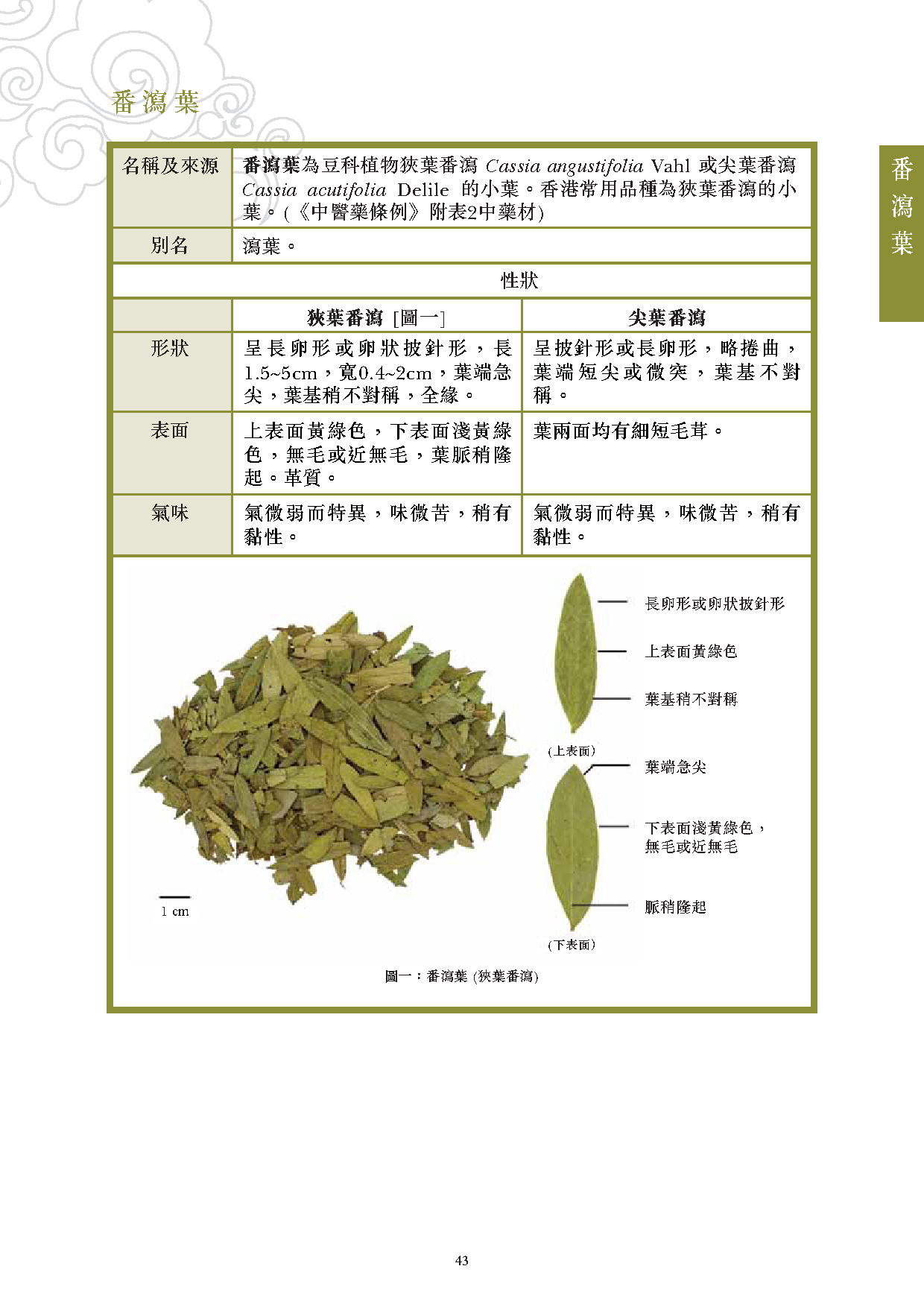 番泻叶的作用与功效