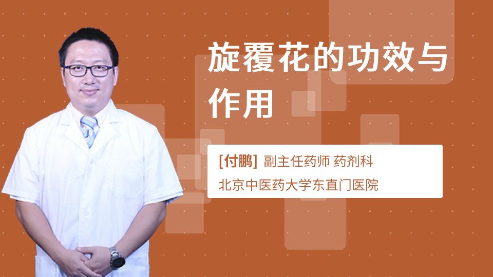 旋复花的功效与作用是什么?不光止咳化痰还有这些好处!