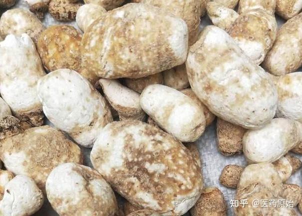 制白附子的功效与作用怎么样?内行人分享真实体验!
