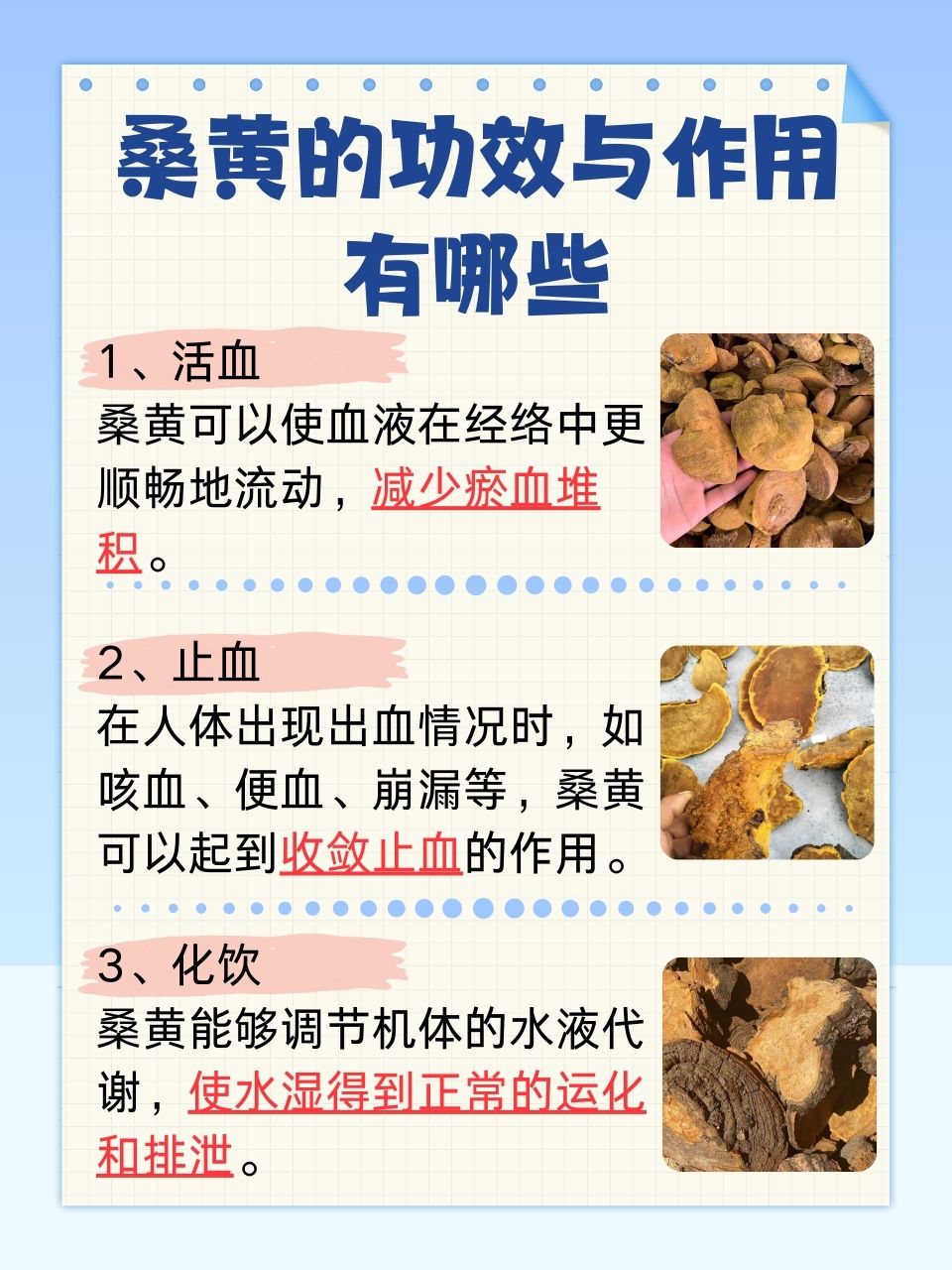 桑黄有什么功效与禁忌？喝对方法才能发挥大作用