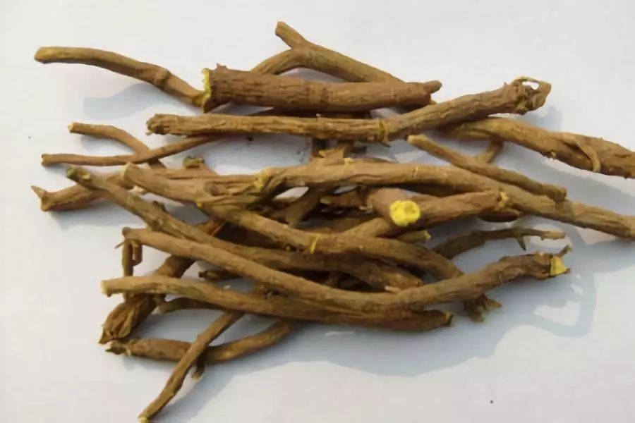 黄岑的功效与作用