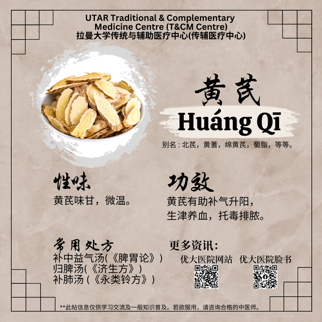 揭秘黄金药材功效与作用，这些知识你一定要了解！