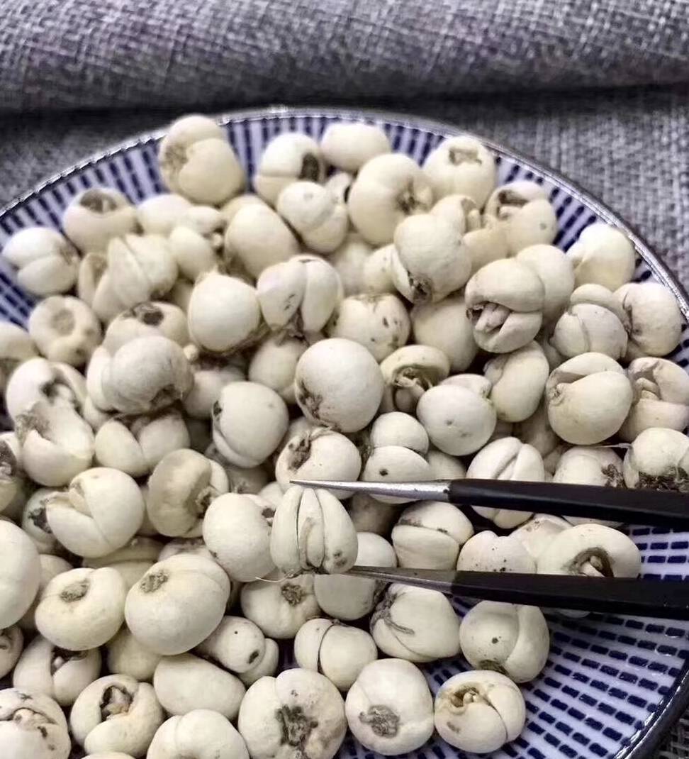 贝母的功效虽好也有禁忌,这些人千万不能吃!