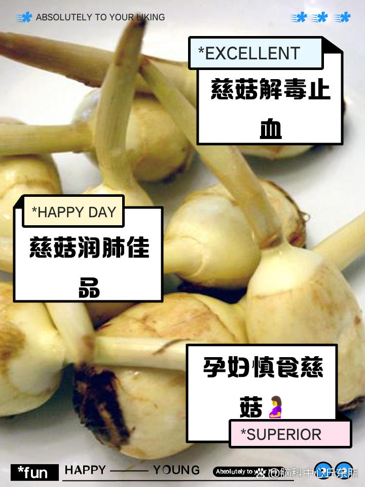 吃慈菇有什么好处？全面了解慈菇的功效与作用！