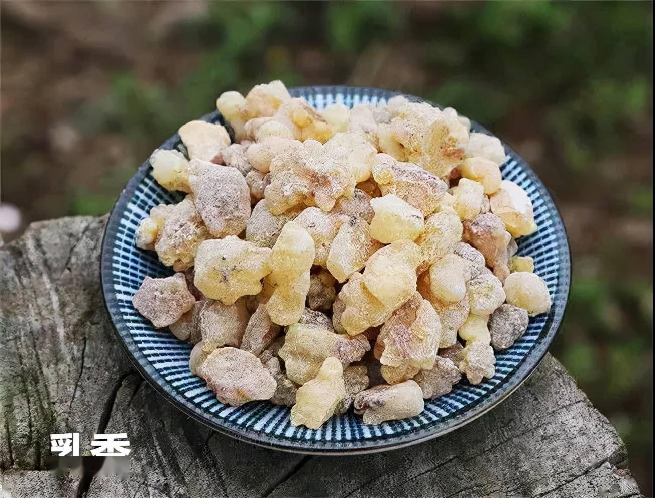 中药乳香的功效与作用