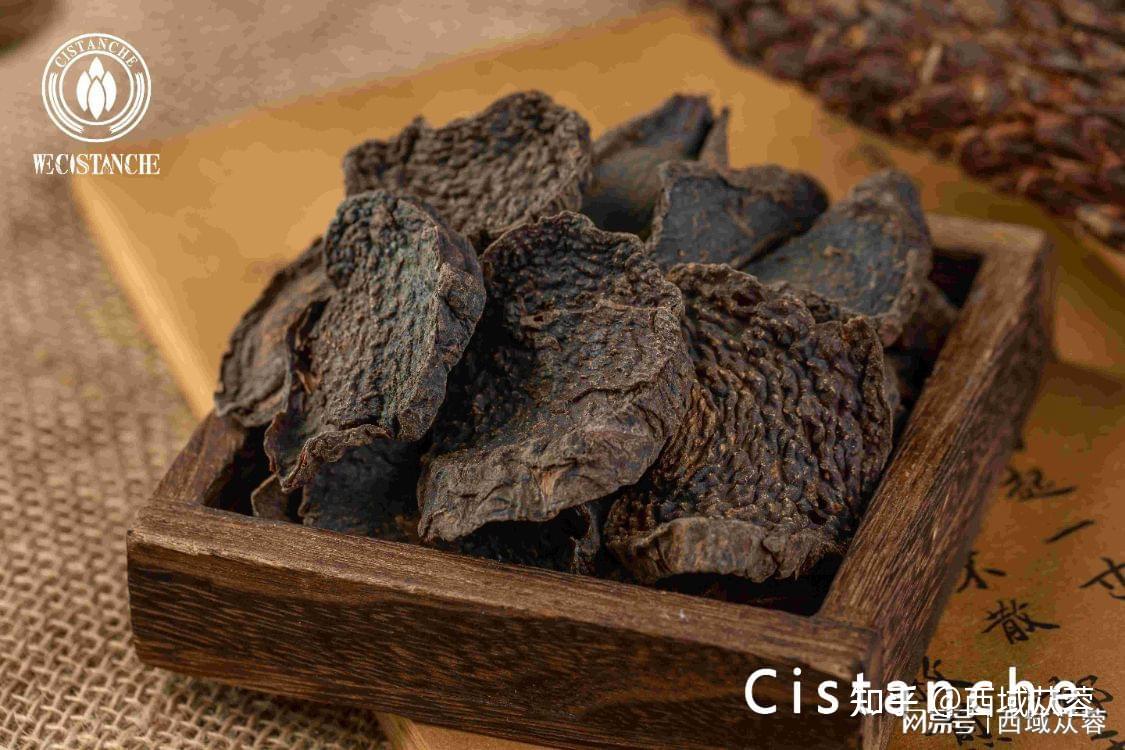 中药肉苁蓉的功效与作用