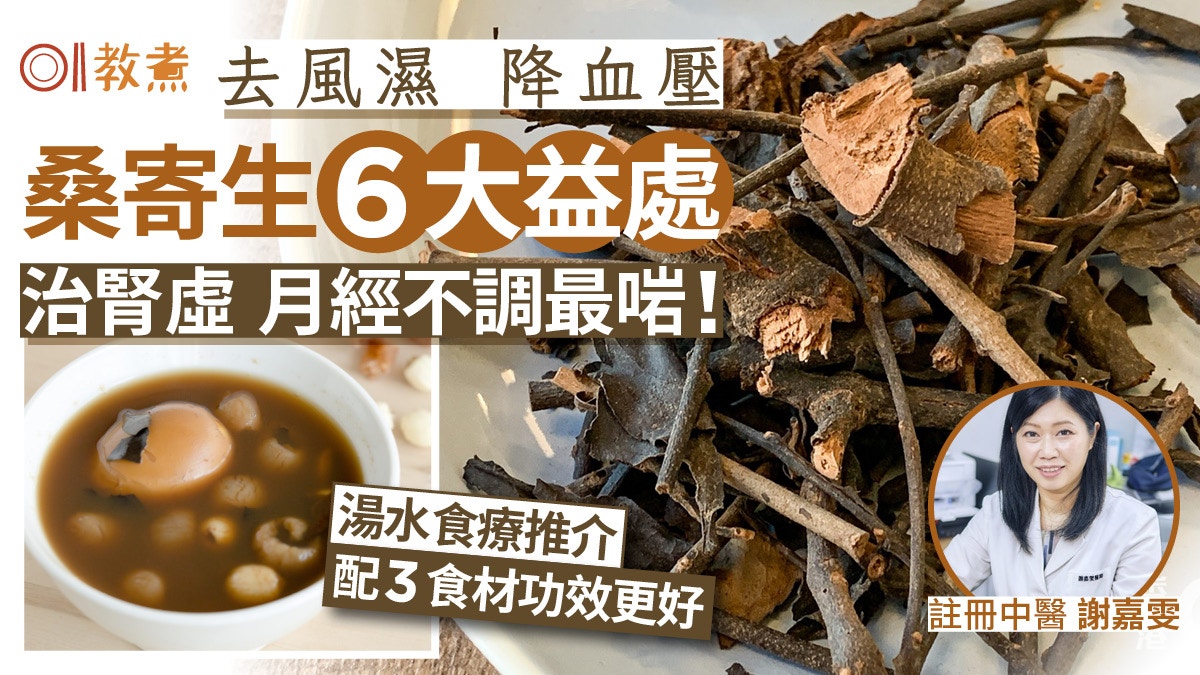 桑寄生功效与作用怎么样?医生告诉你怎么用才对!