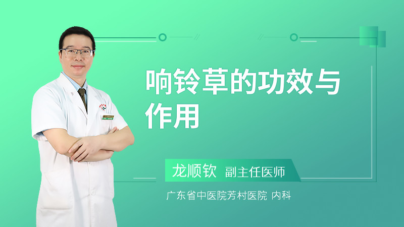 响铃草的功效与作用是什么?老中医教你正确认识它!