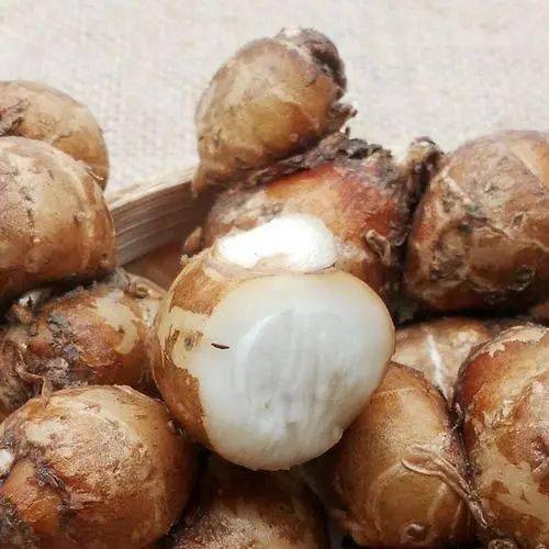 想知道山奈的功效与作用吗？看完这篇你就全懂了！