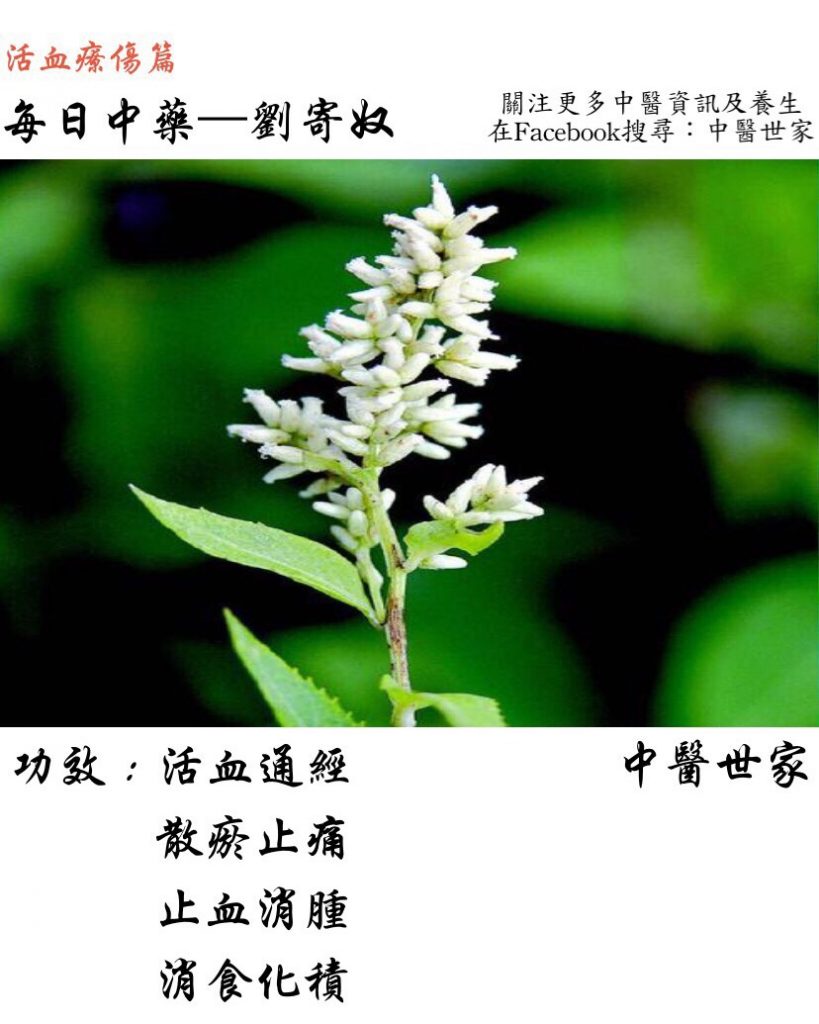 都说刘寄奴的作用与功效好，具体好在哪里你知道吗？