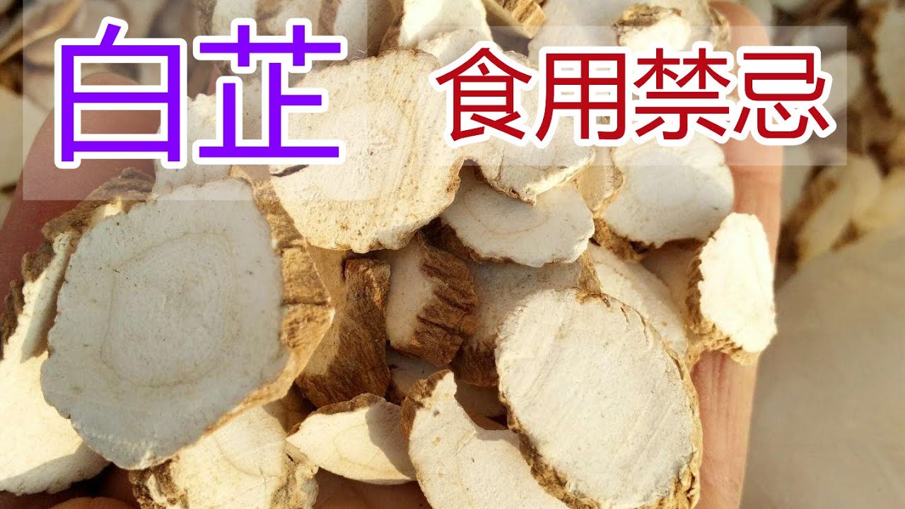 想知道白芷的功效和作用?老中医教你正确用法!